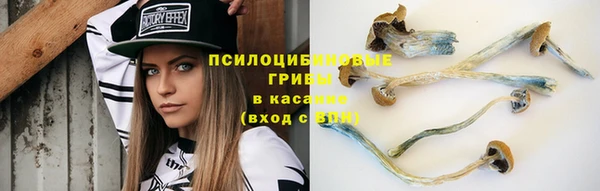прущая мука Армянск