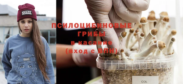 прущая мука Армянск