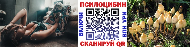 где продают   Омутнинск  Галлюциногенные грибы Magic Shrooms 